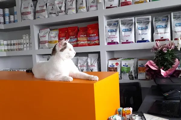Çerkezköy veteriner kliniği - Resim 20