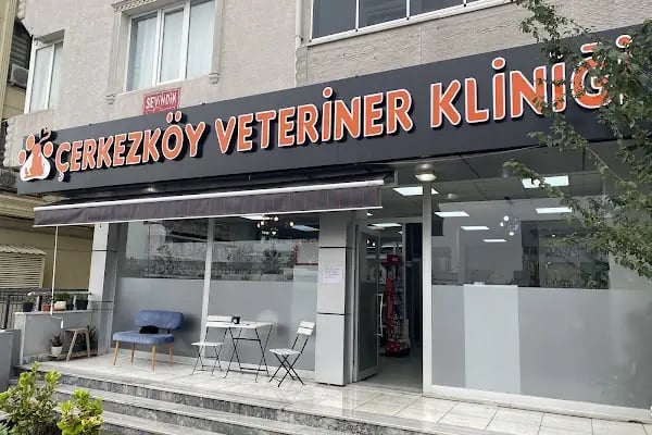 Çerkezköy veteriner kliniği - Resim 3