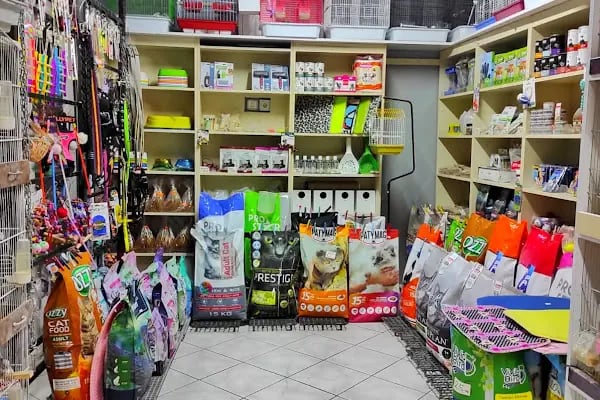 Linda Petshop - Resim 11