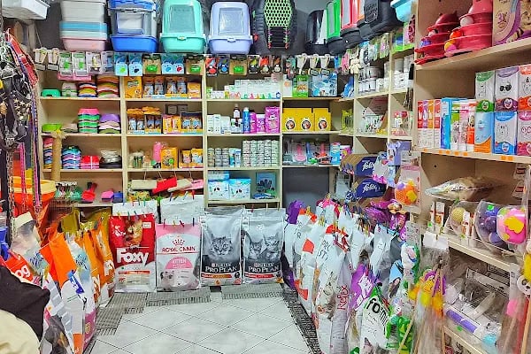 Linda Petshop - Resim 15