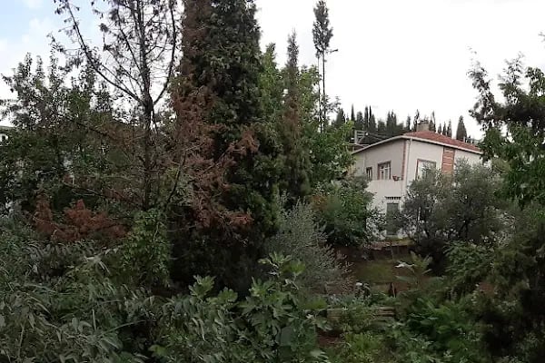 Aksu Business Otel - Resim 16