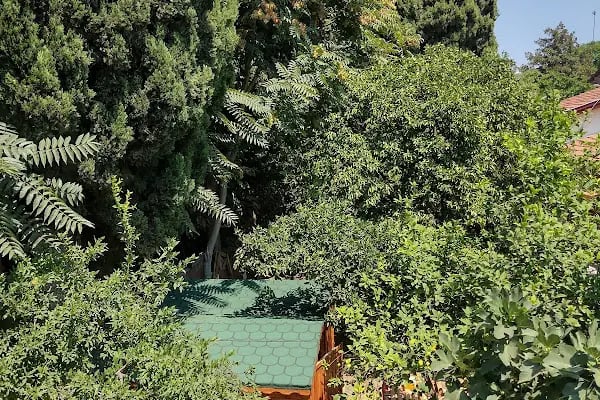 ANTIQUE HOUSE ANTALYA - Resim 11