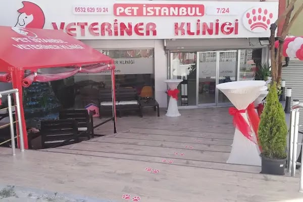 GAZİOSMANPAŞA VETERİNER PET İSTANBUL VETERİNER POLİKLİNİĞİ - Resim 16