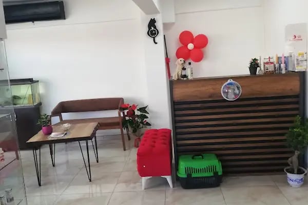 GAZİOSMANPAŞA VETERİNER PET İSTANBUL VETERİNER POLİKLİNİĞİ - Resim 6