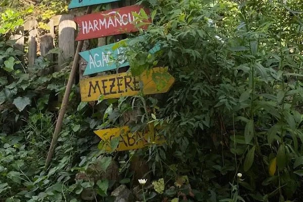 Sera Gölü Assor Cafe&amp;Restaurant Trabzon - Resim 19