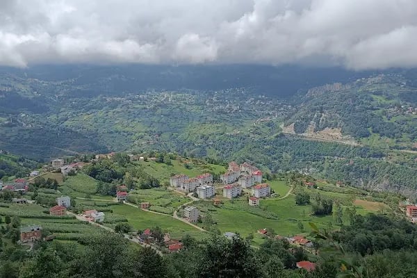 Sera Gölü Assor Cafe&amp;Restaurant Trabzon - Resim 7