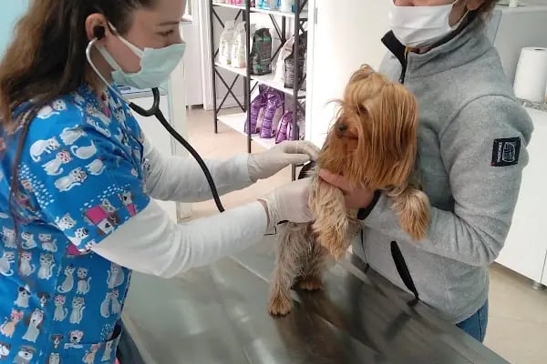 Efem Veteriner Kliniği - Resim 5