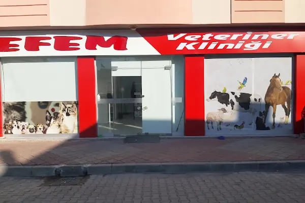 Efem Veteriner Kliniği - Resim 1