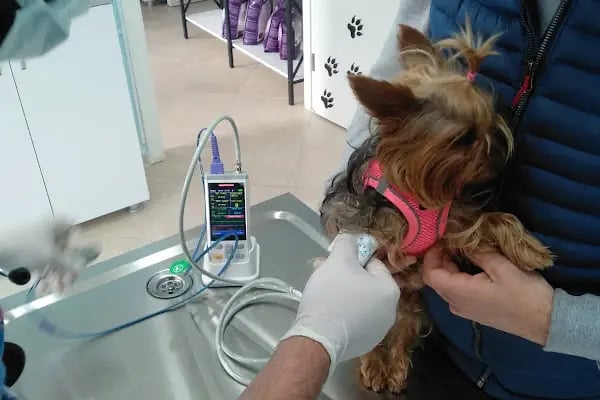 Efem Veteriner Kliniği - Resim 9