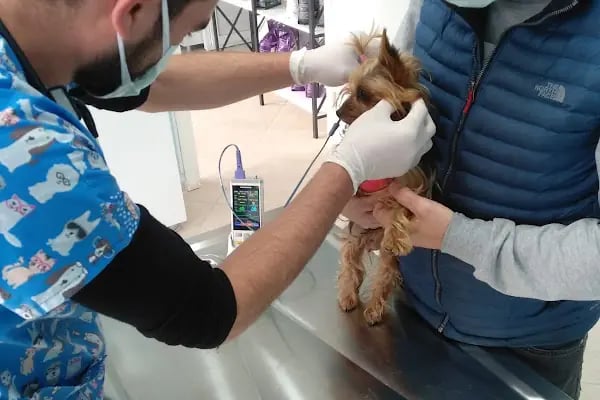 Efem Veteriner Kliniği - Resim 6