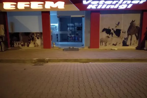 Efem Veteriner Kliniği - Resim 10