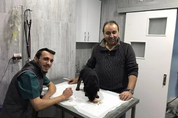 Peterson Veteriner PoliKliniği - Resim 3