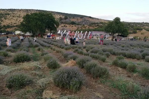 Sedefne otel - Resim 12