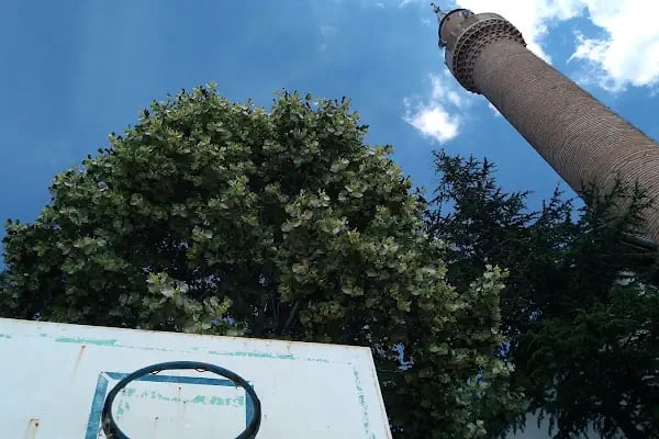 Bünyamin Ayaşi İlkokulu - Resim 7