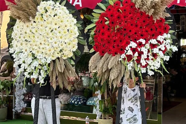 Ada flowers - Resim 6