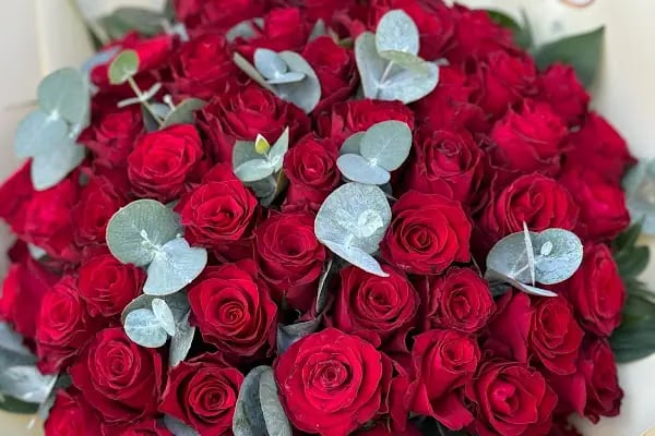 Ada flowers - Resim 17