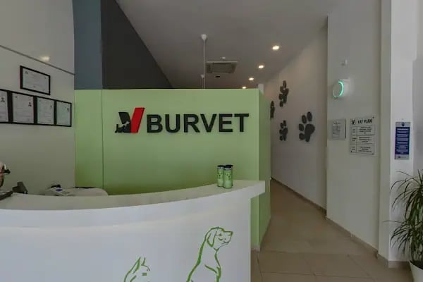 Burvet - Resim 11