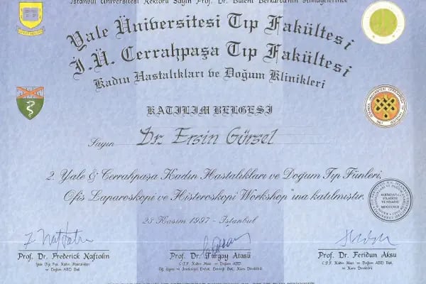 Op. Dr. Ersin GÜRSEL - Resim 3
