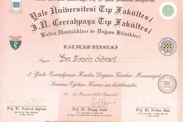 Op. Dr. Ersin GÜRSEL - Resim 4