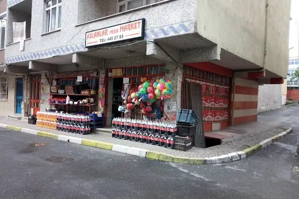 Aslanlar Mega Market - Resim 5