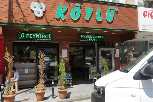 KÖYLÜ peyniricilik bağcılar - Resim 2