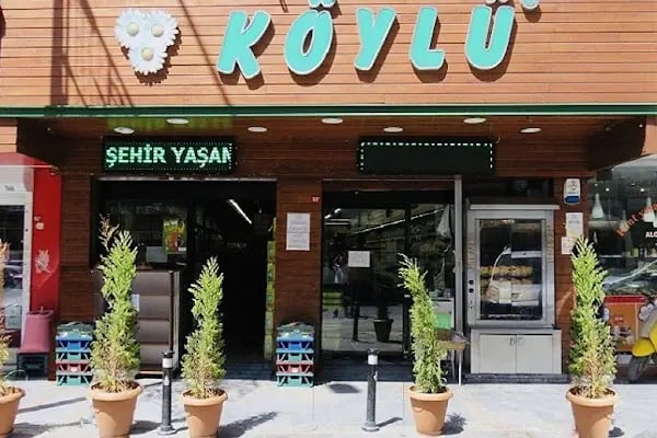 KÖYLÜ peyniricilik bağcılar - Resim 7