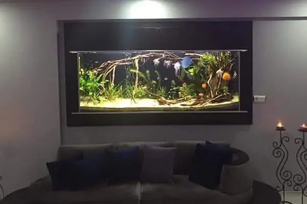 Bursa Aqua Farm - Resim 13