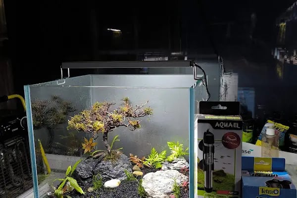 Bursa Aqua Farm - Resim 8
