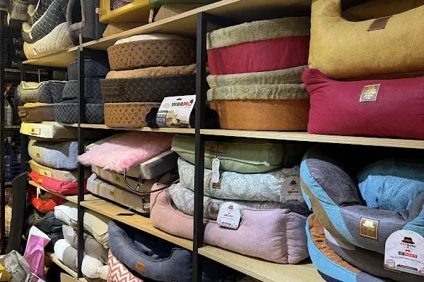 Gaziantep Pethouse Petshop - Resim 16