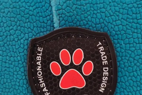 Gaziantep Pethouse Petshop - Resim 17
