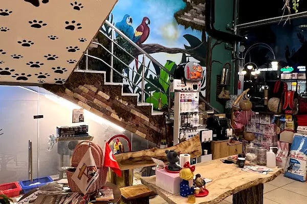 Gaziantep Pethouse Petshop - Resim 4