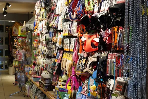 Gaziantep Pethouse Petshop - Resim 15