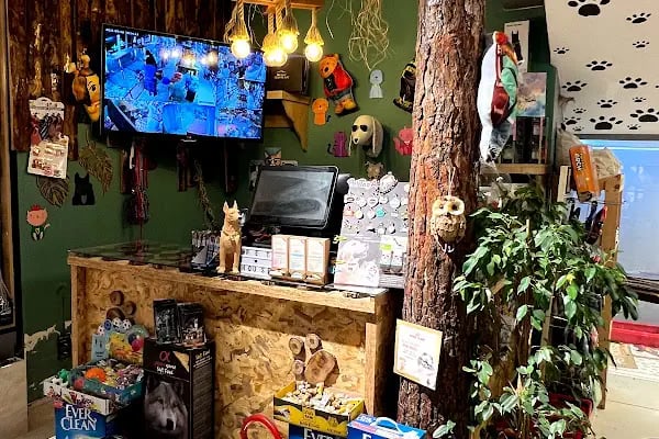 Gaziantep Pethouse Petshop - Resim 10