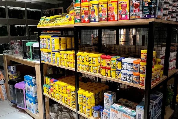Gaziantep Pethouse Petshop - Resim 13