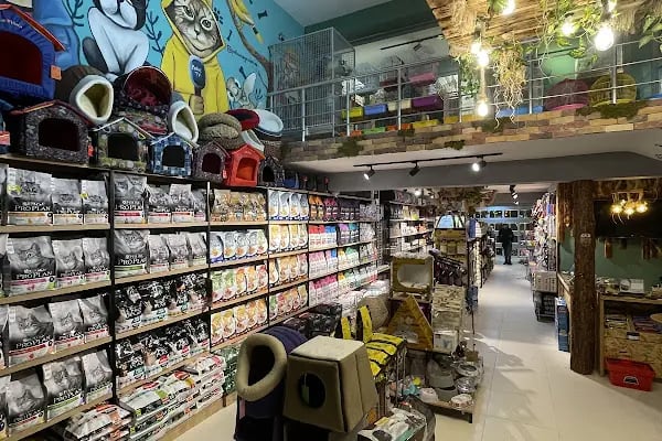 Gaziantep Pethouse Petshop - Resim 12