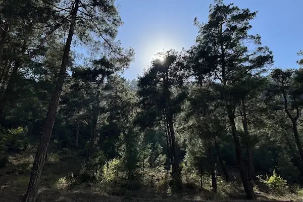 Farsaklar piknik alanı ve çocuk parkı - Resim 15