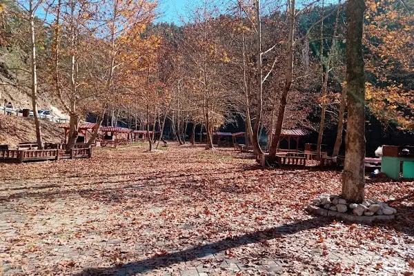 Farsaklar piknik alanı ve çocuk parkı - Resim 14