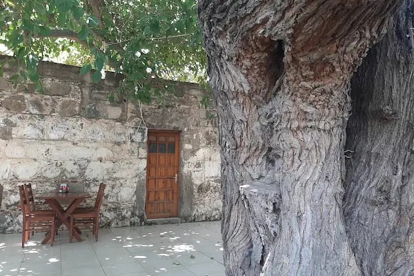 Sevgi Bacı’nın Yeri - Resim 5