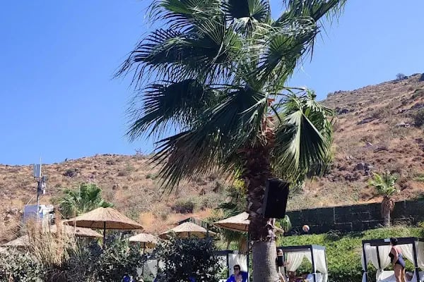 La Mer Beach Bodrum - Resim 7