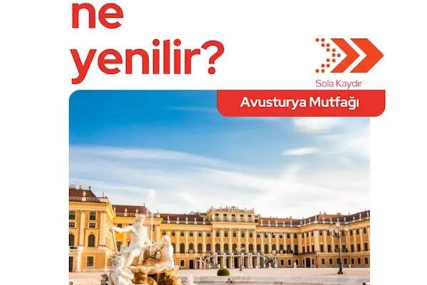 Diyarbakır Vize Merkezi - Vizebul - Resim 11