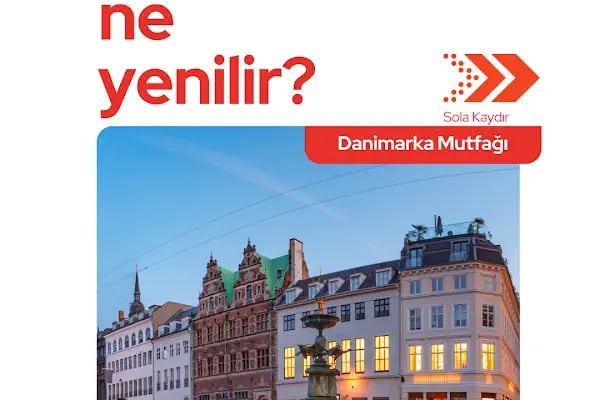 Diyarbakır Vize Merkezi - Vizebul - Resim 19