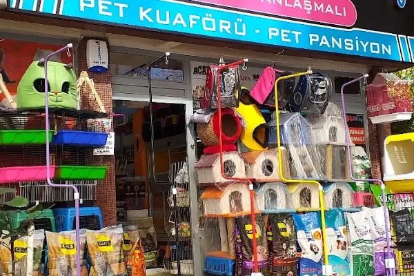 Missy Pet Shop - Resim 5