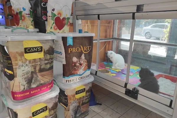Missy Pet Shop - Resim 10