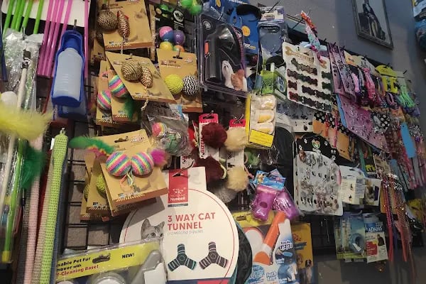 Missy Pet Shop - Resim 2