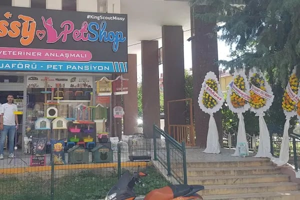 Missy Pet Shop - Resim 11