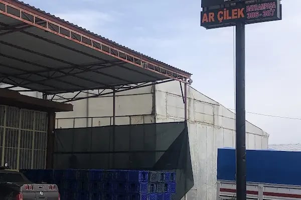 Ar Muz Göl Tarım - Resim 11