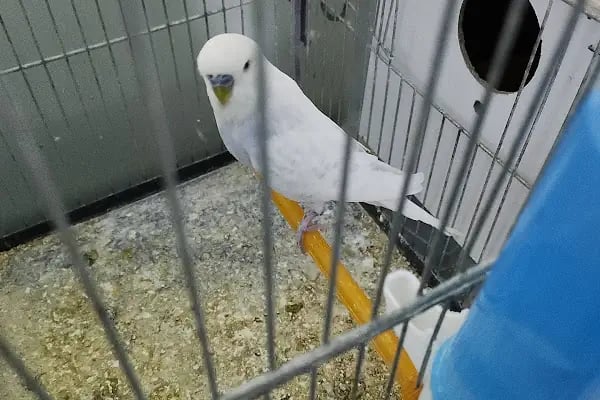 Denizli Poseidon Akvaryum - Resim 3
