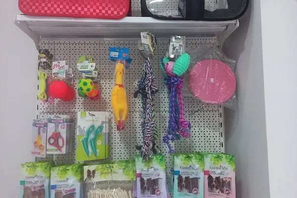 Petliv Veteriner Kliniği Acil Veteriner - Resim 18