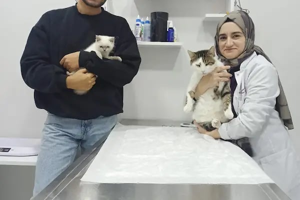 Petliv Veteriner Kliniği Acil Veteriner - Resim 4