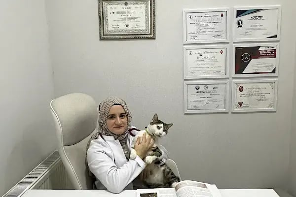 Petliv Veteriner Kliniği Acil Veteriner - Resim 15